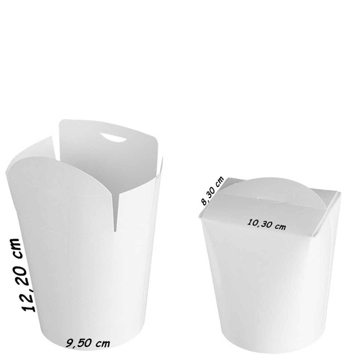 ENVASE ORIENTAL CARTON BLANCO 1000cc. - Imagen 2